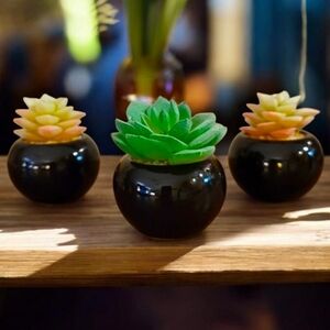 Set of 3 Mini Faux Succulents in Black Ceramic Planters